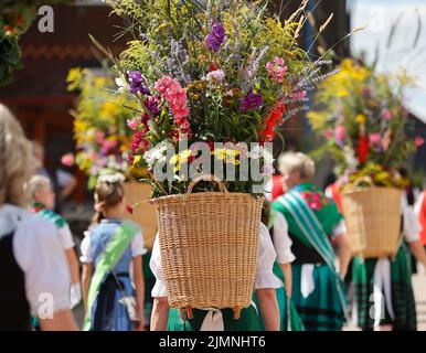 07 August 2022, Saxony-Anhalt, Hüttenrode: A pannier woman with flower decorations marches in the 'Grasedanz' festival procession.  The Grass Queen has been elected in Hüttenrode every year since 1885. The custom festival, in which the women are the center of attention, is celebrated annually on the first weekend in August. Photo: Matthias Bein/dpa Stock Photo