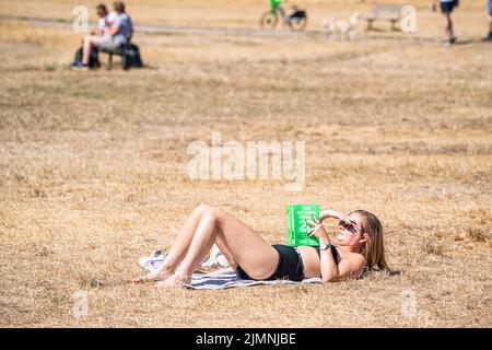 Wimbledon, London, UK. 7 August 2022  A woman  sunbathing on a hot day  on the parched grass on Wimbledon Common  on another  hot day  as the UK's heatwave and drought continues into August, with temperatures expected to reach  above 30celsius  by next week Credit. amer ghazzal/Alamy Live News Stock Photo