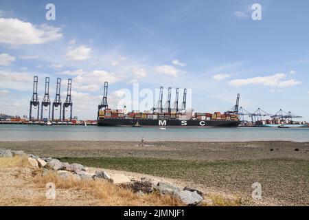 Shotley, UK. 07th Aug 2022. The container ship MSC London at Felixstowe dock ahead of the strike action due to take place for eight days at the port starting 21st August. Credit: Eastern Views/Alamy Live News Stock Photo