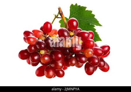 Bunch of ripe red grapes with green leaf isolated on white background. Stock Photo