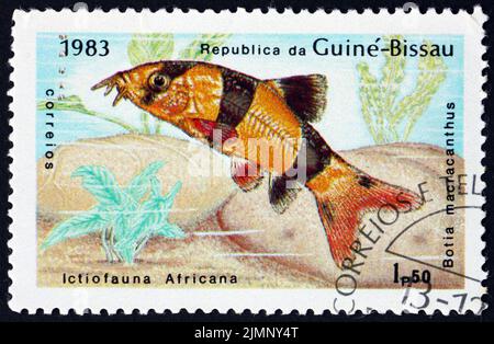 GUINEA-BISSAU - CIRCA 1983: a stamp printed in Guinea-Bissau shows clown loach, botia macracanthus, is a tropical freshwater fish, circa 1983 Stock Photo