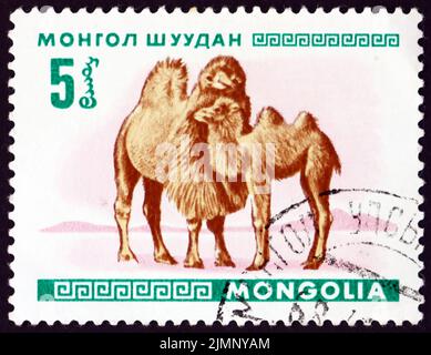 MONGOLIA - CIRCA 1968: a stamp printed in Mongolia shows bactrian camels, camelus bactrianus, is a large even-toed ungulate native to the steppes of C Stock Photo