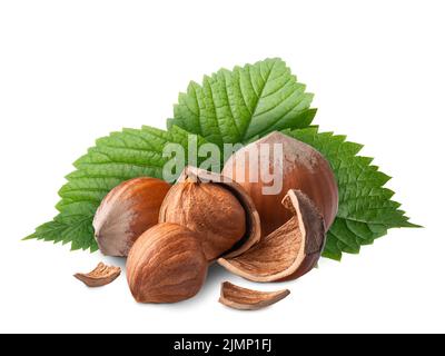 Hazelnuts with green leaves isolated on white. Deep focus Stock Photo