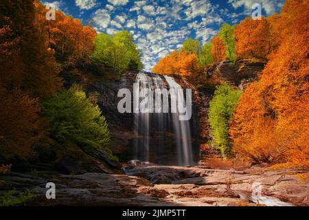 Beautiful waterfall among trees, green leaves, rocks and stones in hidden forest with river background. Stock Photo