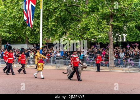 The First Battalion Irish Guards Together With 'Seamus' Their Irish Wolfhound Mascot Take Part In The Queen's Birthday Parade, London, UK. Stock Photo