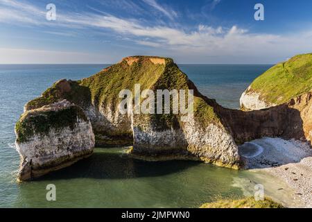 Limestone rock formation known as the Drinking Dinosaur, Flamborough Head, East Yorkshire Coast. A colony of grey seals can be seen on the beach below Stock Photo