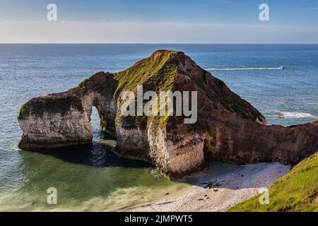 Limestone rock formation known as the Drinking Dinosaur, Flamborough Head, East Yorkshire Coast. A colony of grey seals can be seen on the beach below Stock Photo