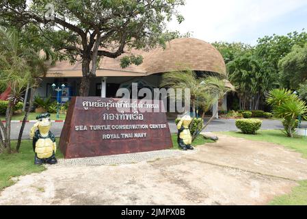 Chonburi, Thailand. 06th Aug, 2022. Sea Turtle Conservation Center is located in Sattahip naval base Royal Thai Navy, Chonburi, Thailand on August 6, 2022. This center is controlled by Air and Coastal Defense Command. Inside the this place, there are promoting the conservation of sea turtles, turtle ponds for baby sea turtles before. going to the sea, and the gallery of the turtle life cycle, over the weekends there will be people constantly taking their families on a trip. (Photo by Teera Noisakran/Pacific Press/Sipa USA) Credit: Sipa USA/Alamy Live News Stock Photo