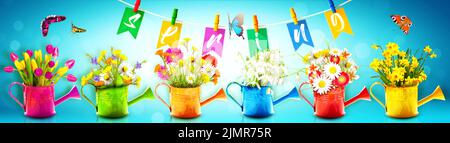 Colorful wild flower bouquet in a watering can with butterflies. Stock Photo