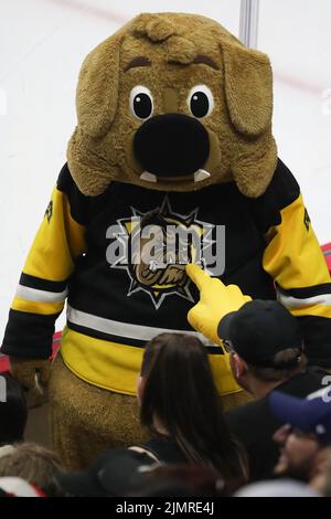 Bailey la kings mascot hi-res stock photography and images - Alamy