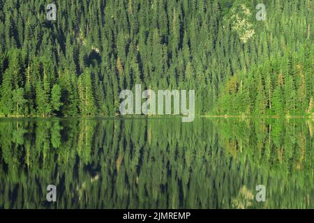 Black lake landscape at sunrise in Durmitor National park, Zabljak, Montenegro Stock Photo