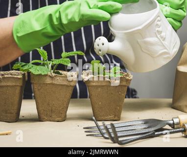 A woman in green rubber gloves holds a white ceramic watering can Stock Photo