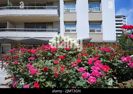 Front of apartment building decorated with colorful flowers Stock Photo