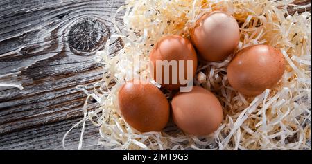 Composition with five chicken eggs on wood. Stock Photo