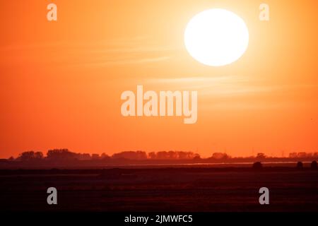 Fiery sunset with shadows over backlit trees. Darkened silhouettes of forested area with vibrant sunset or sunrise. Colorful and Stock Photo