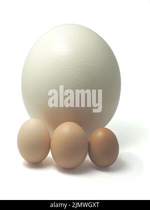 Three different shaped, colored and sized chicken eggs in front of an ostrich egg on a white isolated background. Stock Photo