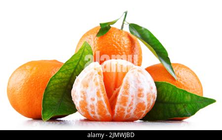 Composition with tangerines isolated on white background. Stock Photo