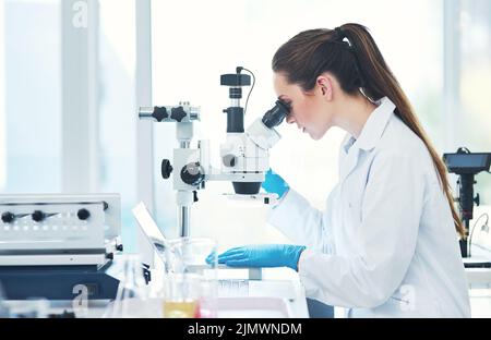 Lets see what we have here. a focused young female scientist looking through a microscope while doing tests inside of a laboratory. Stock Photo