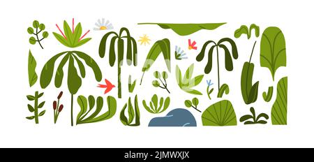 Hand drawn vector abstract graphic clipart illustrations collection set of composition with abstract boho nature shapes of blossom flowers and Stock Vector