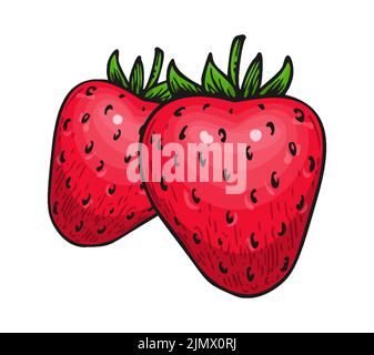 Strawberry two red berries isolated on white. Farm fresh whole ripe berry. Tasty sweet fruit eco food. Juicy strawberries handdrawn clip art for farmers market poster, sticker print, embroidery patch Stock Vector