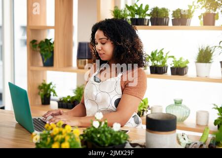 Adding orders to her spreadsheet. an attractive young female botanist working on a laptop in her florist. Stock Photo