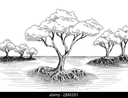 Mangrove jungle forest river graphic black white landscape sketch illustration vector Stock Vector
