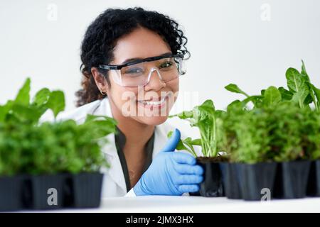 I think that plants are extremely interesting. a female scientist experimenting with plants. Stock Photo