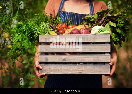 Mother nature will always provide. an unrecognizable female farmer carrying a crate full of fresh produce at her farm. Stock Photo