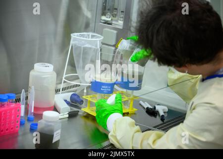 Berlin, Germany. 19th July, 2022. Molecular biologist Emanuel Wyler examines wastewater samples for pathogens in the safety laboratory at the Max Delbrück Center for Molecular Medicine in Mitte. From the amount of bacteria and viruses found, conclusions can be drawn, for example about the frequency of corona infections. Credit: Bernd von Jutrczenka/dpa/Alamy Live News Stock Photo