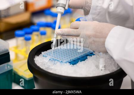 Berlin, Germany. 19th July, 2022. Molecular biologist Emanuel Wyler examines wastewater samples for pathogens in the safety laboratory at the Max Delbrück Center for Molecular Medicine in Mitte. From the amount of bacteria and viruses found, conclusions can be drawn, for example, about the frequency of corona infections. (to dpa 'Getting in front of the wave - How researchers read health in wastewater') Credit: Bernd von Jutrczenka/dpa/Alamy Live News Stock Photo