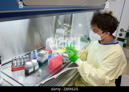 Berlin, Germany. 19th July, 2022. Molecular biologist Emanuel Wyler examines wastewater samples for pathogens in the safety laboratory at the Max Delbrück Center for Molecular Medicine in Mitte. From the amount of bacteria and viruses found, conclusions can be drawn, for example about the frequency of corona infections. Credit: Bernd von Jutrczenka/dpa/Alamy Live News Stock Photo