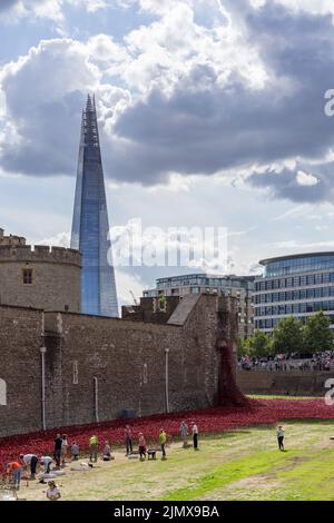 LONDON, UK - AUGUST 22. People preparing Poppy display at the Tower of London on August 22, 2014. Unidentified people Stock Photo