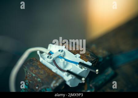 Electrical appliance plug in a section with the insides close-up in an iron vice. Blue and brown wire in a white plastic case, side view Stock Photo