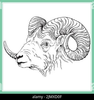 Hand drawn sketch style ram isolated on the white background. Vector illustration. Stock Vector