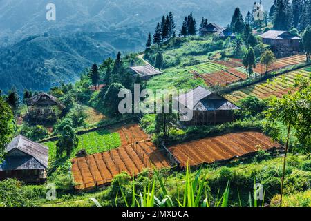 Small scale agriculture in Sapa in Lao Cai Province in northwest Vietnam Stock Photo