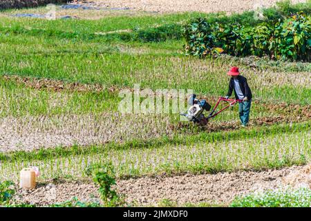 Self-sufficient farming in Ha Giang province, Vietnam Stock Photo