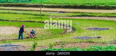 Self-sufficient labor-intensive farming in Ha Giang province Stock Photo