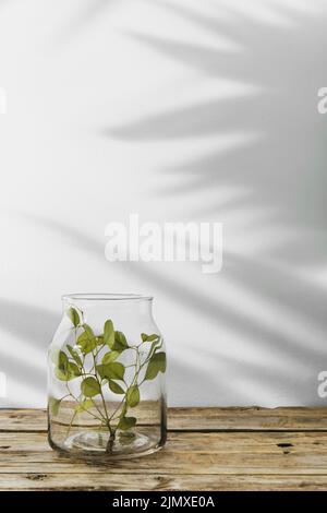 Abstract minimal concept objects with shadows wooden table Stock Photo