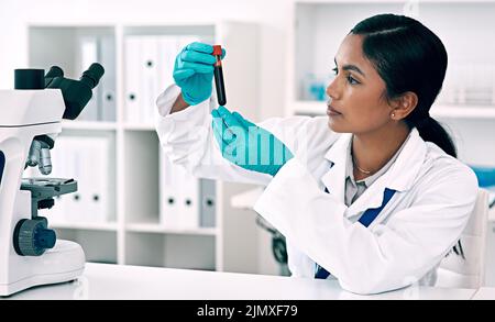 I need to find out whats in this blood. an attractive young female scientist inspecting a test tube filled with a blood sample while working in a Stock Photo