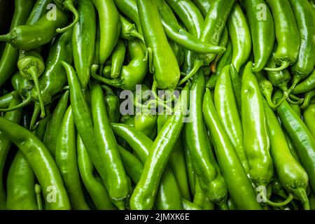 Raw Green Organic Serrano Peppers.  green chili peppers Stock Photo