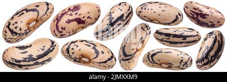 Black and white speckled beans isolated on white background Stock Photo