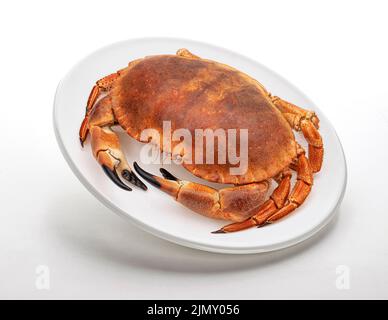 Cooked crab isolated on white background Stock Photo