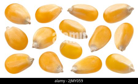 Raw corn grains isolated on white background Stock Photo