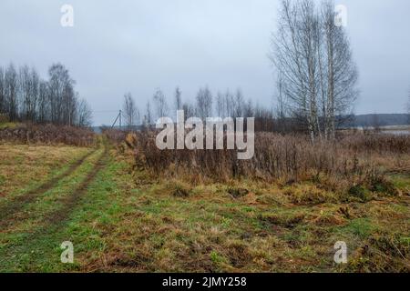 Autumn cloudy day in the countryside. The country trail goes into the distance Stock Photo