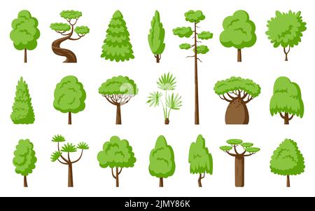 Green trees flat set. Baobab palm dracaena, sequoia fir, cypress spruce, maple thuja willow, foliar and pine forest park plant. Foliage cartoon landscape floral outdoor element. Different shape tree Stock Vector