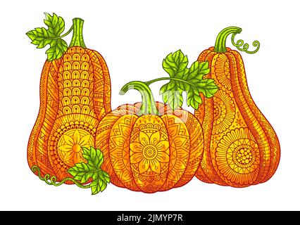 Halloween Pumpkin pagina da colorare anti-stress per adulti, stile  zentangle. Illustrazione vettoriale del modello di laccio Immagine e  Vettoriale - Alamy