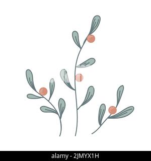 Doodle plant with branches and berries. Summer or autumn decorative herb. Forest floral vector element isolated on white.  Stock Vector