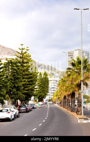 Cape Town, South Africa - May 12, 2022: Rows of palm trees on Sea Point beach front avenue Stock Photo