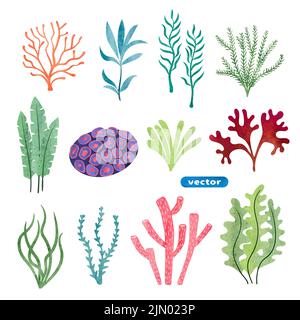 Set of seaweed and corals isolated on white background. Underwater watercolor algae set. Aquarium plants vector illustration Stock Vector