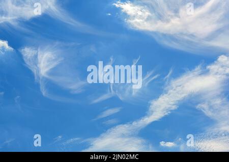 Cirrus clouds on the blue sky, background for nature, weather and climate themes, large copy space Stock Photo